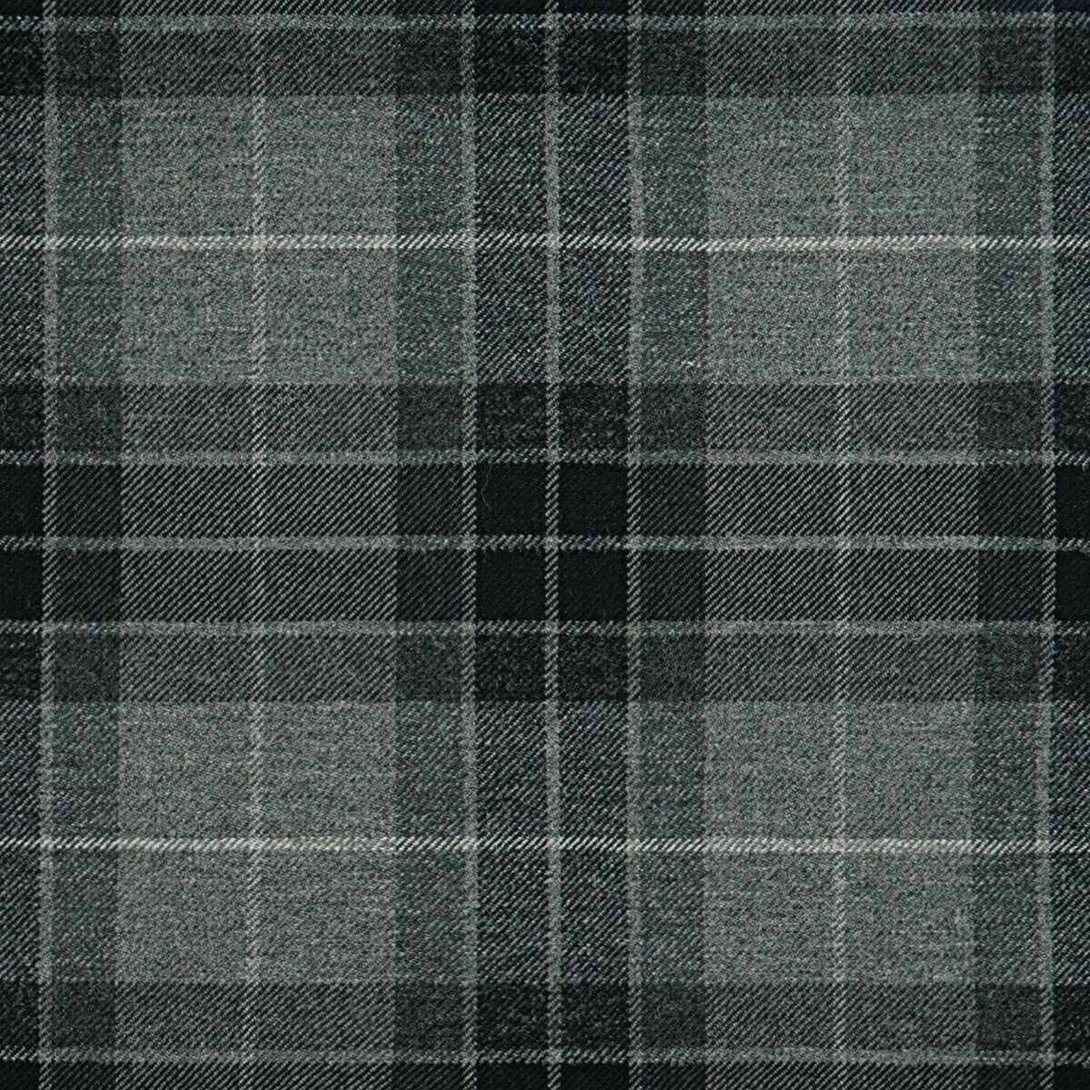Fraser Grey